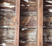 On the roof of our Suite you can see polychromed tables that appeared in this place belonging to a nobler building. We show detail of the paneling.